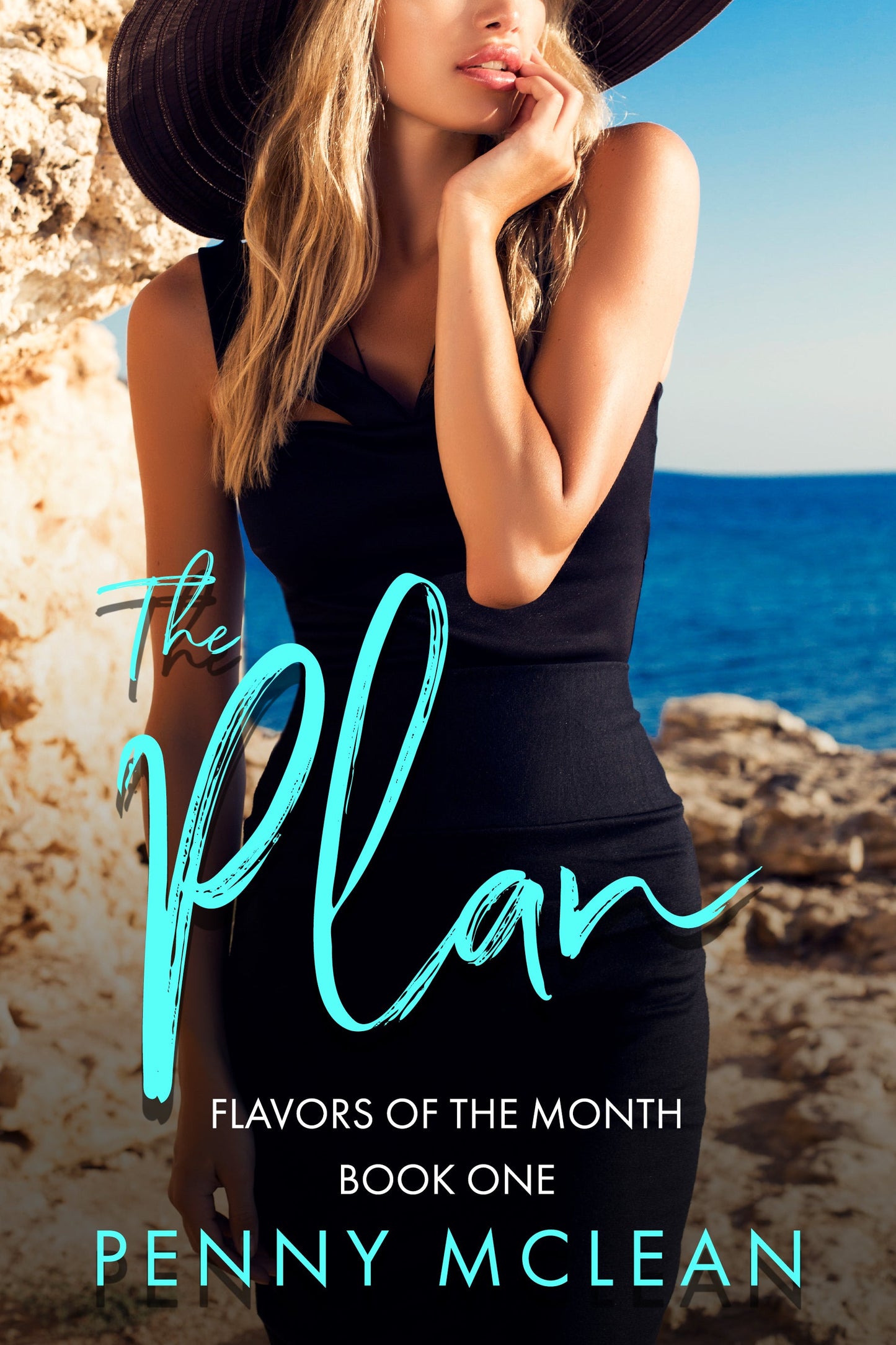 The Plan: Flavors of the Month Book 1 by Penny McLean UNSIGNED